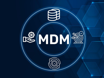 MDM (Master Data Management):